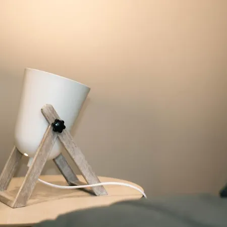 Les De L'hyper Centre Apartment Pau