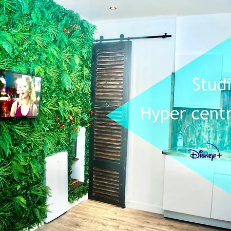 Les De L'hyper Centre Apartment *