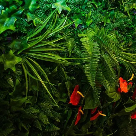 Apartment Les De L'hyper Centre *