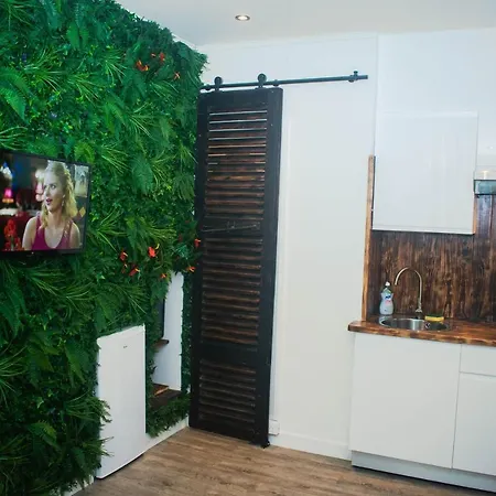 Les De L'hyper Centre Apartment Pau