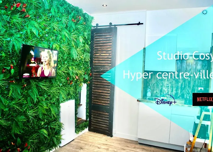 Les De L'hyper Centre Apartamento *