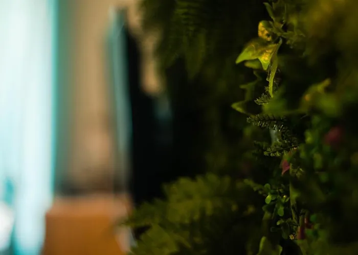 Les De L'hyper Centre *